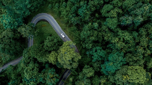 Fleet Emissions Strategy Planning